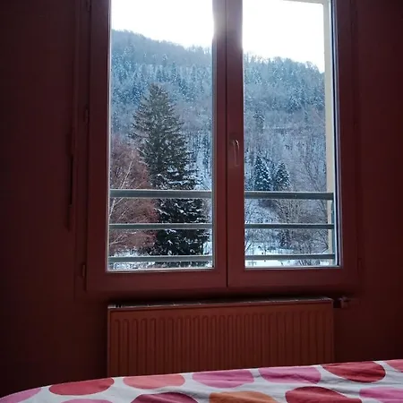 In Apartment Allemont